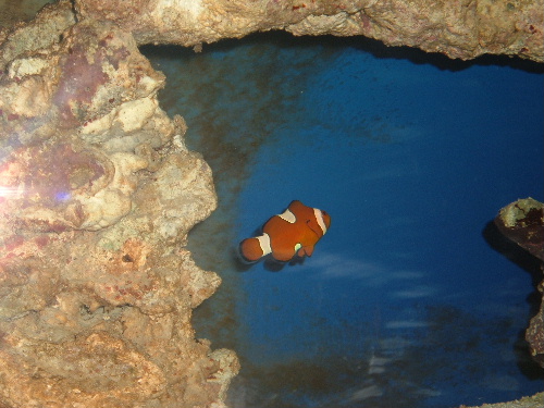 DSCF0360.JPG