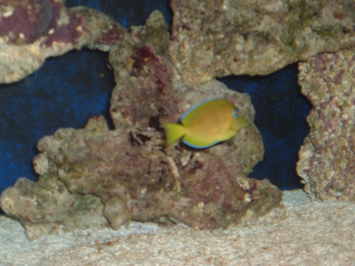 DSCF0358.JPG