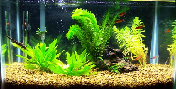102_0240.jpg