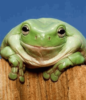 ATT001731111.gif