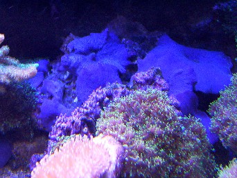 17975100_6727[1].jpg
