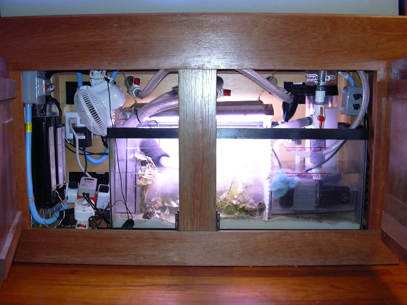 sump.JPG