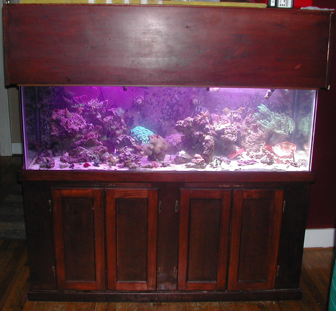 tank shot nov 2005.jpg