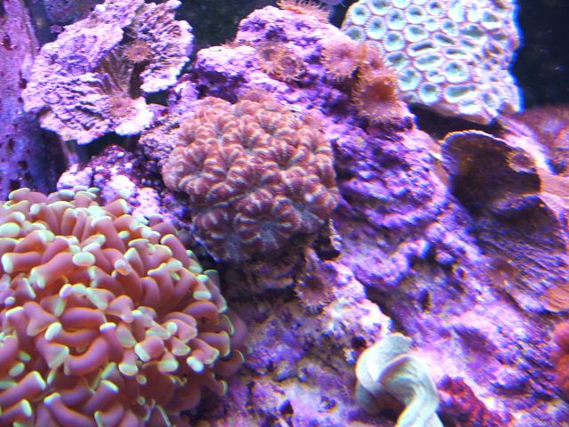DSCF1813.jpg