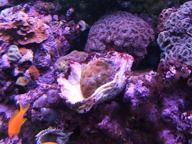 DSCF1843.jpg