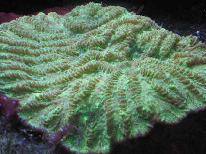pic1.jpg
