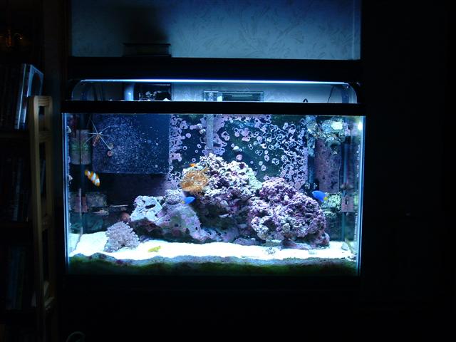 DSCF0060 (Small).JPG