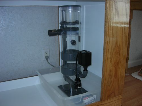 Skimmer.jpg