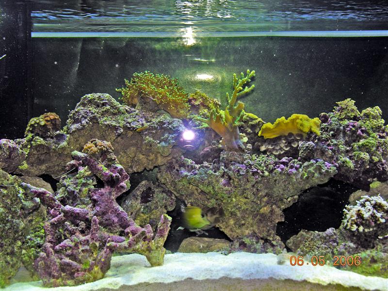 DSCN1289_edited-1 (Medium).JPG