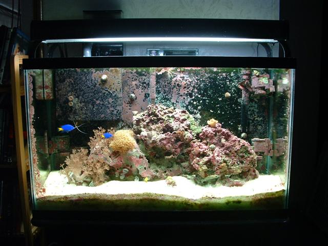 DSCF0017 (Small).JPG