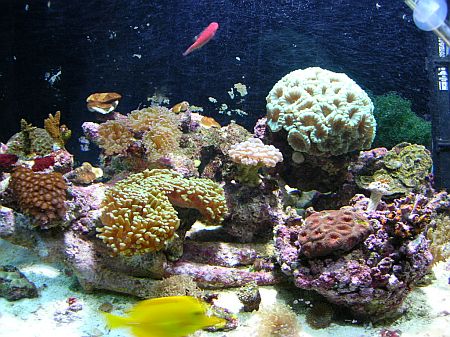 75gal feb9.jpg
