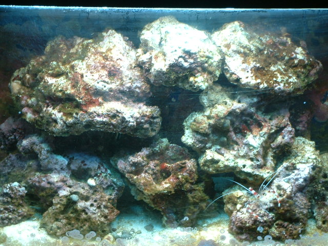 DSCF0046.JPG