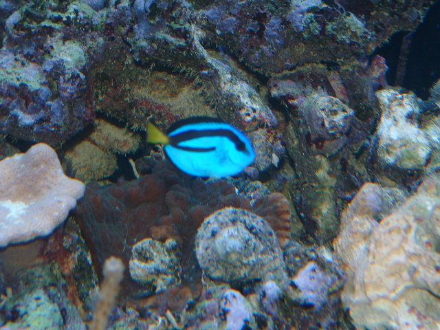 dorie9-6.JPG
