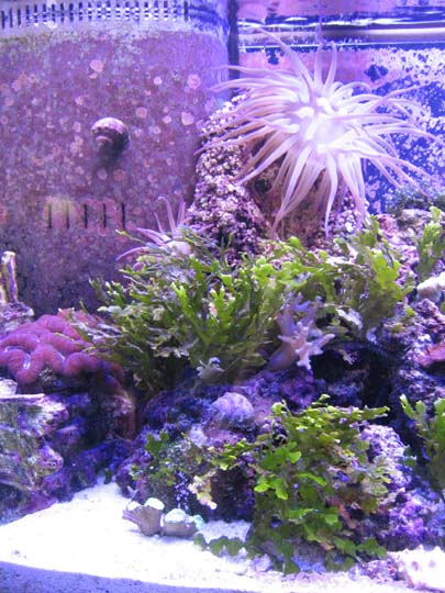 IMG_1678.JPG