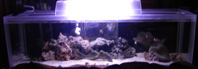 My Tank 6-3-07.JPG