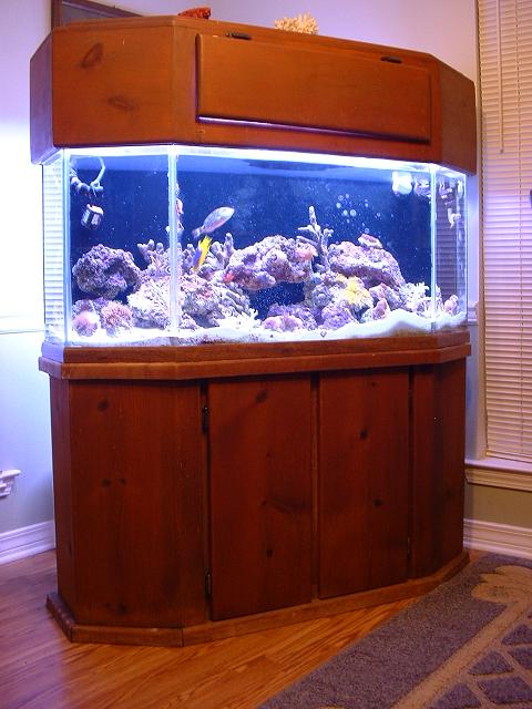 Oceanic Hex Front