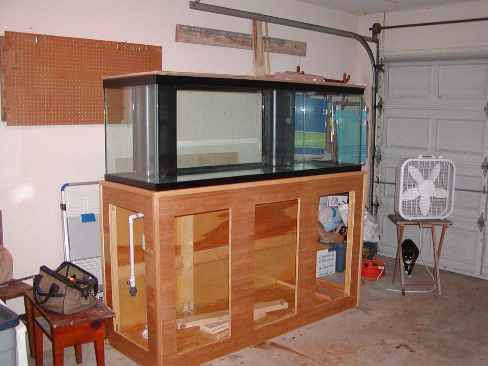 Tank3.JPG
