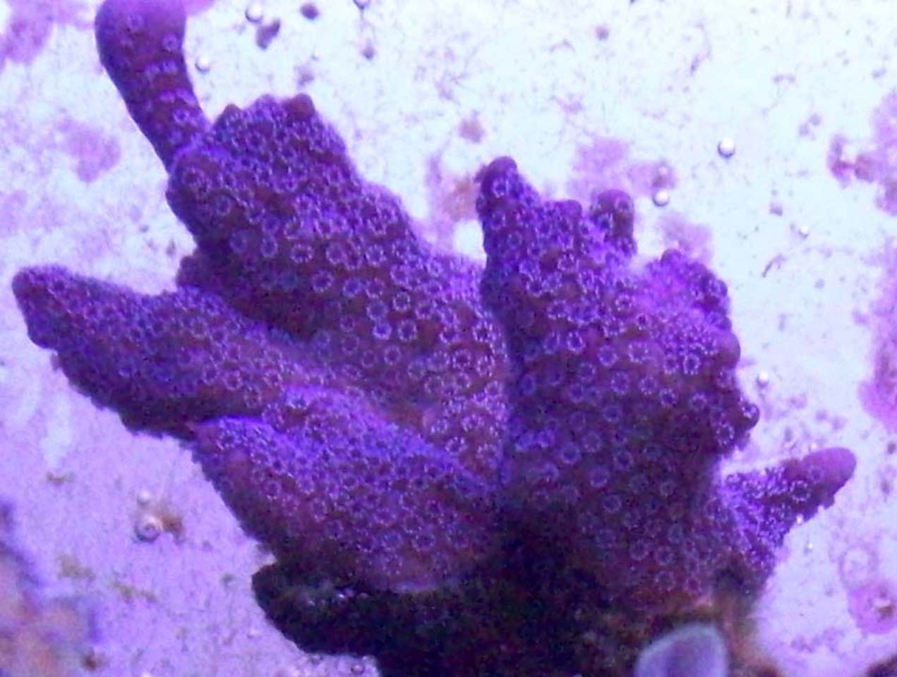 9c.jpg