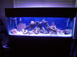100 gallon again