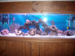 Main rock display