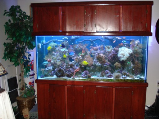225 GAL 2.jpg
