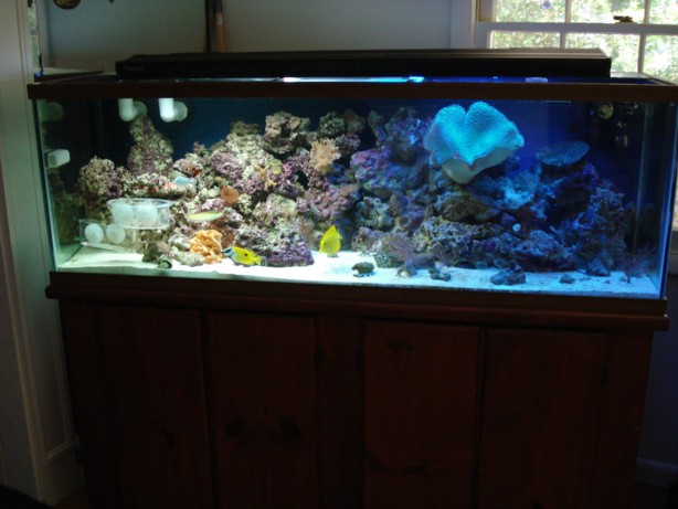 100 gal 1.jpg