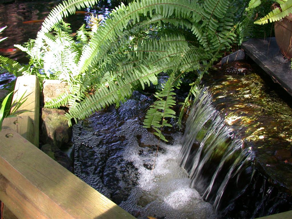 DSCN4139 (Large).JPG