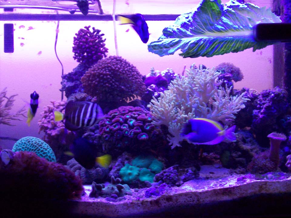 118_0461.JPG