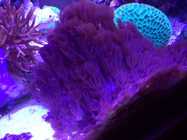 118_0482.JPG