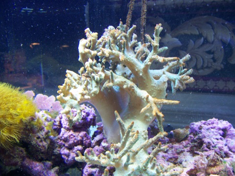 100_4166-2.JPG
