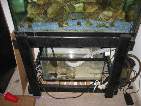 65 sump 2.jpg