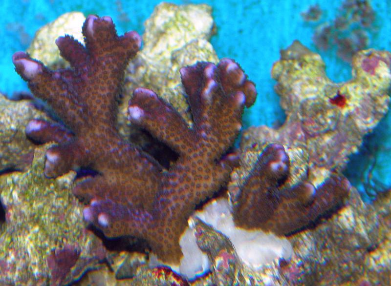 P3160027.jpg