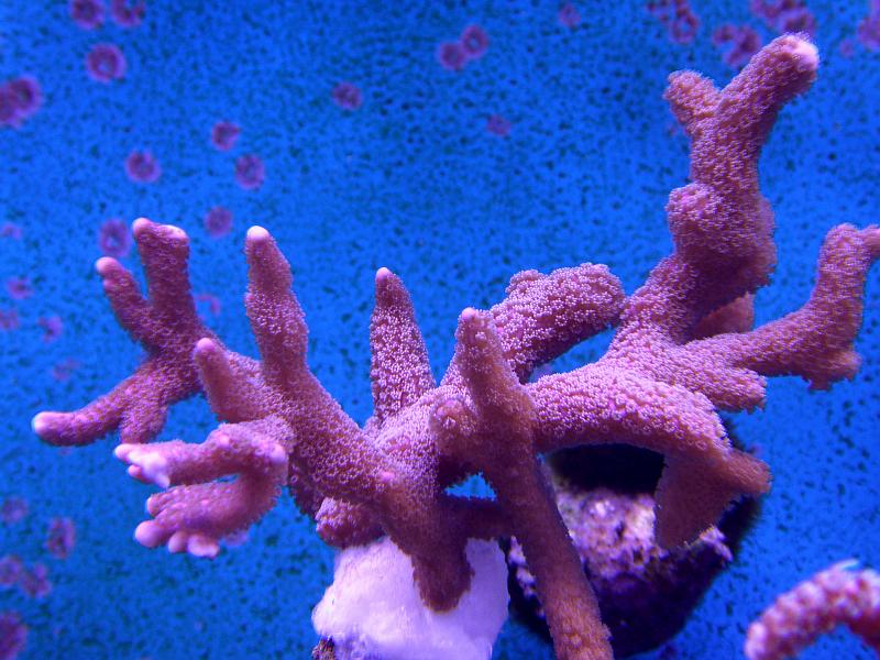 P3180096.jpg