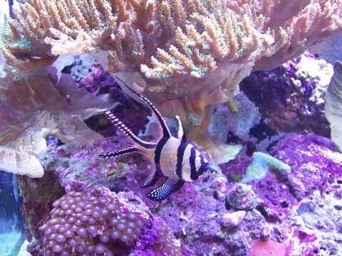 100_0177.JPG
