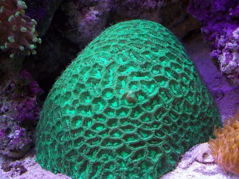 100_0183.JPG