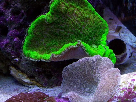 100_0205.JPG