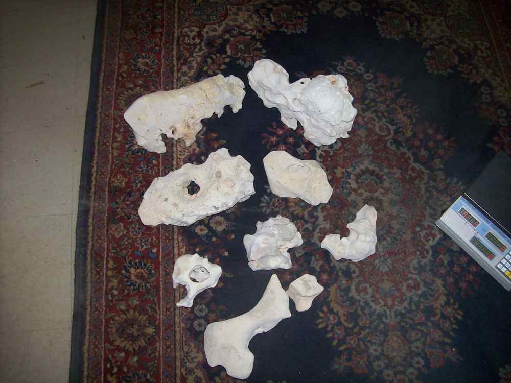 Rocks over 70 lbs Great shapes and styles for base lots of holes big and small