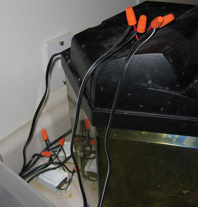 the wiring/ballasts