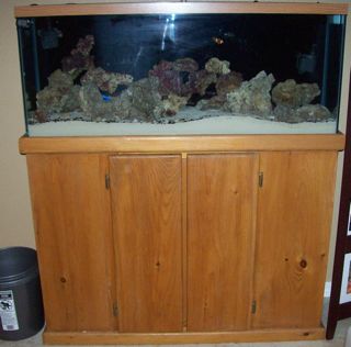 100_0783a.jpg