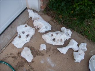 100_0777a.jpg