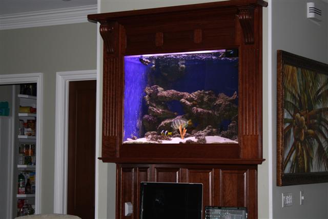 aquarium_001_small_217.jpg