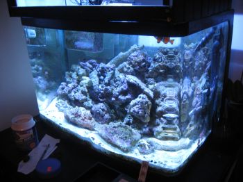45 gal aqu.jpg