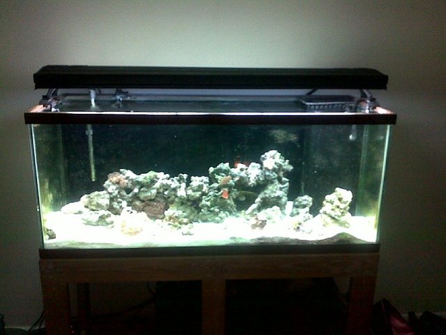 08262010235.jpg