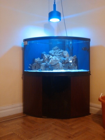 corner tank.jpg