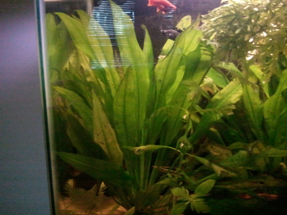 2011-01-17154307.jpg