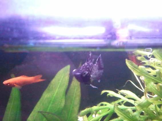 2011-01-17154412.jpg