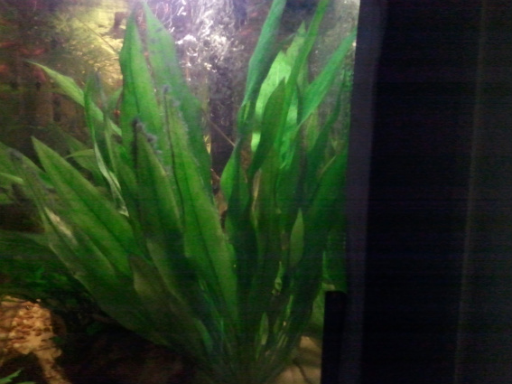 2011-01-17154435.jpg