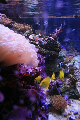 10-7-2010 072.jpg