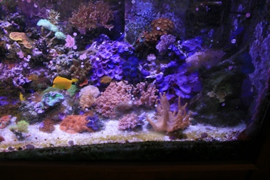 10-7-2010 075.jpg