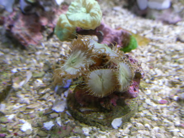SDC10852.jpg